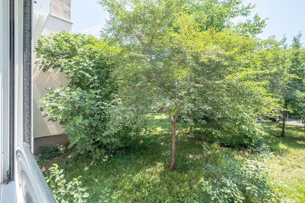 Top Location, Brand New 3 Bdrm Apt & Free Parking Sofia Esterno foto