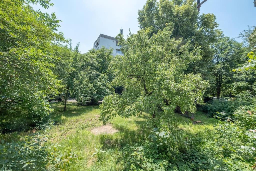 Top Location, Brand New 3 Bdrm Apt & Free Parking Sofia Esterno foto