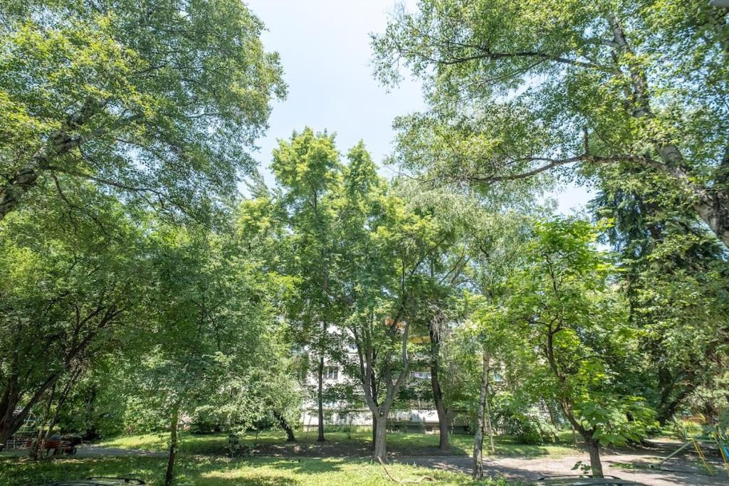 Top Location, Brand New 3 Bdrm Apt & Free Parking Sofia Esterno foto